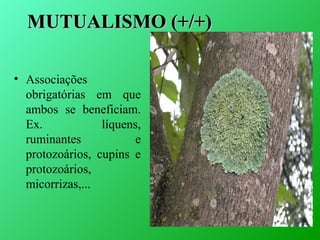 MUTUALISMO (+/+)
• Associações
obrigatórias em que
ambos se beneficiam.
Ex.
líquens,
ruminantes
e
protozoários, cupins e
protozoários,
micorrizas,...

 