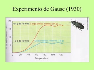 Experimento de Gause (1930)

 