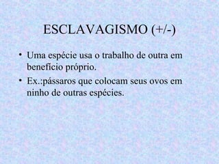 ESCLAVAGISMO (+/-)
• Uma espécie usa o trabalho de outra em
benefício próprio.
• Ex.:pássaros que colocam seus ovos em
ninho de outras espécies.

 