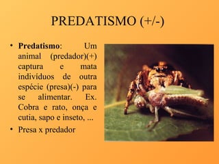 PREDATISMO (+/-)
• Predatismo:
Um
animal (predador)(+)
captura
e
mata
indivíduos de outra
espécie (presa)(-) para
se
alimentar.
Ex.
Cobra e rato, onça e
cutia, sapo e inseto, ...
• Presa x predador

 