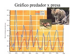 Gráfico predador x presa

 