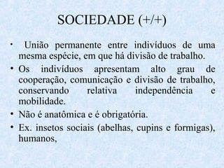 SOCIEDADE (+/+)
União permanente entre indivíduos de uma
mesma espécie, em que há divisão de trabalho.
• Os indivíduos apresentam alto grau de
cooperação, comunicação e divisão de trabalho,
conservando
relativa
independência
e
mobilidade.
• Não é anatômica e é obrigatória.
• Ex. insetos sociais (abelhas, cupins e formigas),
humanos,
•

 