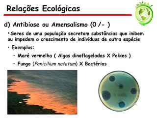d) Antibiose ou Amensalismo (0 /- )
• Seres de uma população secretam substâncias que inibem
ou impedem o crescimento de indivíduos de outra espécie
• Exemplos:
• Maré vermelha ( Algas dinoflageladas X Peixes )
• Fungo (Penicilium notatum) X Bactérias
Relações Ecológicas
 