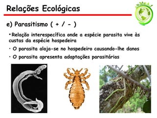 e) Parasitismo ( + / - )
• Relação interespecífica onde a espécie parasita vive às
custas da espécie hospedeira
• O parasita aloja-se no hospedeiro causando-lhe danos
• O parasita apresenta adaptações parasitárias
Relações Ecológicas
 