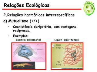 2.Relações harmônicas interespecíficas
a) Mutualismo (+/+)
• Coexistência obrigatória, com vantagens
recíprocas.
• Exemplos:
Cupins X protozoários Líquen ( alga + fungo )
Relações Ecológicas
 