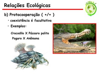 b) Protocooperação ( +/+ )
• coexistência é facultativa
• Exemplos:
Crocodilo X Pássaro palito
Paguro X Anêmona
Relações Ecológicas
 