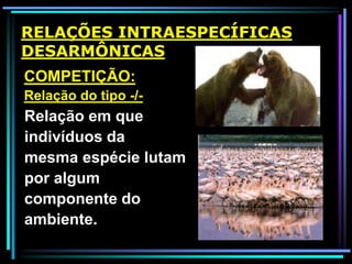 RELAÇÕES INTRAESPECÍFICAS
DESARMÔNICAS
COMPETIÇÃO:
Relação do tipo -/-
Relação em que
indivíduos da
mesma espécie lutam
por algum
componente do
ambiente.
 
