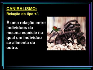 É uma relação entre
indivíduos da
mesma espécie na
qual um indivíduo
se alimenta do
outro.
CANIBALISMO:
Relação do tipo +/-
 