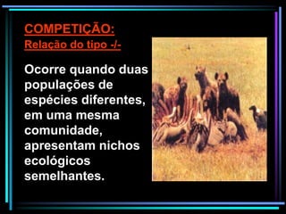 COMPETIÇÃO:
Relação do tipo -/-
Ocorre quando duas
populações de
espécies diferentes,
em uma mesma
comunidade,
apresentam nichos
ecológicos
semelhantes.
 