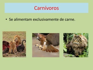 Carnívoros
• Se alimentam exclusivamente de carne.

 