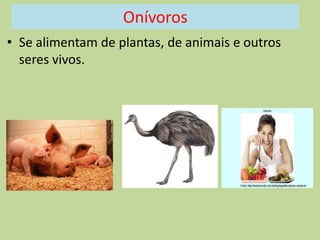 Onívoros
• Se alimentam de plantas, de animais e outros
seres vivos.

 