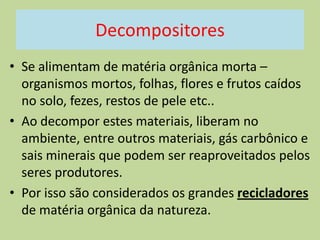 Decompositores
• Se alimentam de matéria orgânica morta –
organismos mortos, folhas, flores e frutos caídos
no solo, fezes, restos de pele etc..
• Ao decompor estes materiais, liberam no
ambiente, entre outros materiais, gás carbônico e
sais minerais que podem ser reaproveitados pelos
seres produtores.
• Por isso são considerados os grandes recicladores
de matéria orgânica da natureza.

 