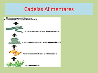 Cadeias Alimentares

 