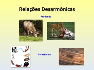 Relações Desarmônicas
         Predação




       Parasitismo
 