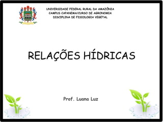 UNIVERSIDADE FEDERAL RURAL DA AMAZÔNIA
CAMPUS CAPANEMA/CURSO DE AGRONOMIA
DISCIPLINA DE FISIOLOGIA VEGETAL
RELAÇÕES HÍDRICAS
Prof. Luana Luz
 