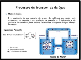 Fluxo de massa
É o movimento de um conjunto de grupos de moléculas em massa, mais
comumente em reposta a um gradiente de pressão, e é independente do
gradiente de concentração de solutos. Determina o transporte de água a longas
distâncias.
Processos de transportes de água
Equação de Poiseuille:
Teoria de Münch
 