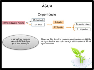 0,1 disponível
0,6 subterrânea
ÁGUA
Importância
100% da água do Planeta
97,3 salgada
2,7 doce
2,0 gelo
0,7 líquida
A agricultura consome
cerca de 70% da água
gasta pela população.
Planta de 2kg de milho consome aproximadamente 200 kg
de água durante seu ciclo, ou seja, utiliza somente 1% de
água absorvida.
 