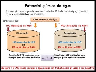 Potencial químico da água
Considerando que:
1000 moléculas de água
É a energia livre capaz de realizar trabalho. O trabalho da água, no nosso
caso, é o de dissolver substâncias.
100 moléculas de NaCl
+
400 moléculas de NaCl
+
Dissociação Dissociação
100 moléculas de H2O
em
100 moléculas de NACL
Resultado=900 moléculas com
energia para realizar trabalho
400 moléculas de H2O
em
400 moléculas de NACL
Resultado=600 moléculas com
energia para realizar trabalho𝟁 > 𝟁
𝟁w pura = 0 MPa (Cada vez que a água realiza um trabalho esse 𝟁 passa a ser negativo)
 
