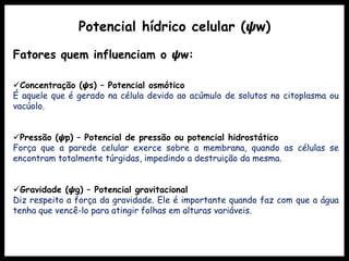 Fatores quem influenciam o 𝟁w:
Concentração (𝟁s) – Potencial osmótico
É aquele que é gerado na célula devido ao acúmulo de solutos no citoplasma ou
vacúolo.
Pressão (𝟁p) – Potencial de pressão ou potencial hidrostático
Força que a parede celular exerce sobre a membrana, quando as células se
encontram totalmente túrgidas, impedindo a destruição da mesma.
Gravidade (𝟁g) – Potencial gravitacional
Diz respeito a força da gravidade. Ele é importante quando faz com que a água
tenha que vencê-lo para atingir folhas em alturas variáveis.
Potencial hídrico celular (𝟁w)
 