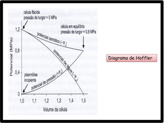Diagrama de Hoffler
 
