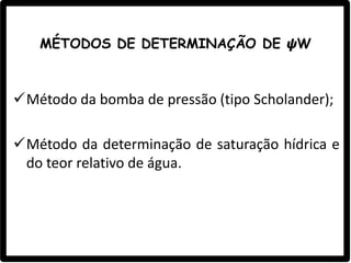 MÉTODOS DE DETERMINAÇÃO DE 𝟁W
Método da bomba de pressão (tipo Scholander);
Método da determinação de saturação hídrica e
do teor relativo de água.
 