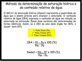 Método da determinação de saturação hídrica e
do conteúdo relativo de água
O déficit de saturação hídrica (Δwsat) representa a quantidade de
água que a planta precisa para alcançar a saturação. O conteúdo
relativo de água (CRA) expressa o conteúdo de água em relação ao
observado na saturação. Essas duas variáveis são determinadas de
forma idênticas. Assim, se o CRA de uma dado órgão for 80%, o
Δwsat será 20%.
 Peso Seco (Ps)
 Peso Fresco (PF)
 Peso Túrgido (Pm)
CRA = PF - Ps x 100 (%)
Pm - Ps
Dwsat = Pm - PF x 100 (%)
Pm - Ps
 