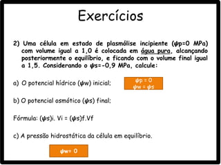 2) Uma célula em estado de plasmólise incipiente (𝟁p=0 MPa)
com volume igual a 1,0 é colocada em água pura, alcançando
posteriormente o equilíbrio, e ficando com o volume final igual
a 1,5. Considerando o 𝟁s=-0,9 MPa, calcule:
a) O potencial hídrico (𝟁w) inicial;
b) O potencial osmótico (𝟁s) final;
Fórmula: (𝟁s)i. Vi = (𝟁s)f.Vf
c) A pressão hidrostática da célula em equilíbrio.
Exercícios
𝟁p = 0
𝟁w = 𝟁s
𝟁w= 0
 
