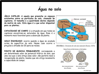 Água no solo
ÁGUA CAPILAR: é aquela que preenche os espaços
existentes entre as partículas do solo, chamado de
capilares. O tamanho e a quantidade destes depende
da matriz do solo. Esta água é a que estar disponível
para as plantas;
CAPACIDADE DE CAMPO: é a situação em que todos os
capilares encontram-se saturados de água. Esse é o
momento mais favorável para a absorção da planta;
SOLO INUNDADO: ocorre quando a água se acumula
acima da superfície do solo. Nesse caso ocorre o
prejuízo a difusão de O2 para as raízes.
PONTO DE MURCHA PERMANENTE: corresponde a
um determinado valor de potencial hídrico do solo, que
uma vez que o solo atinja esse valor, não permite mais a
recuperação da planta, mesmo que ele atinja novamente
a capacidade de campo.
 