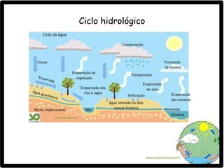 Ciclo hidrológico
www.mundoeducacao.com.br
www.sobiologia.com.br
 