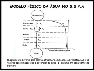 MODELO FÍSICO DA ÁGUA NO S.S.P.A
Diagrama do sistema sola-planta-atmosfera, indicando as resistências e os
valores aproximados que o potencial de água (𝟁) assume em cada ponto do
sistema.
 