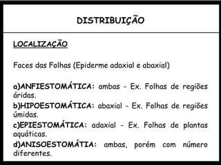 DISTRIBUIÇÃO
LOCALIZAÇÃO
Faces das Folhas (Epiderme adaxial e abaxial)
a)ANFIESTOMÁTICA: ambas - Ex. Folhas de regiões
áridas.
b)HIPOESTOMÁTICA: abaxial - Ex. Folhas de regiões
úmidas.
c)EPIESTOMÁTICA: adaxial - Ex. Folhas de plantas
aquáticas.
d)ANISOESTOMÁTIA: ambas, porém com número
diferentes.
 