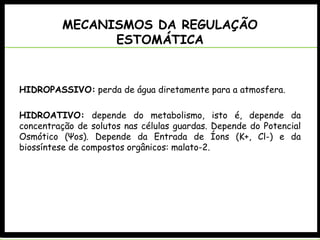 MECANISMOS DA REGULAÇÃO
ESTOMÁTICA
HIDROPASSIVO: perda de água diretamente para a atmosfera.
HIDROATIVO: depende do metabolismo, isto é, depende da
concentração de solutos nas células guardas. Depende do Potencial
Osmótico (Ψos). Depende da Entrada de Íons (K+, Cl-) e da
biossíntese de compostos orgânicos: malato-2.
 