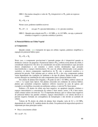 44
OBS 1: Em muitas situações o valor do Ψg é desprezível e o Ψw pode ser expresso
como:
Ψw = Ψp + ·s
Nestes casos, podemos também escrever:
Ψw = P – π em que: P = pressão hidrostática e π = pressão osmótica
OBS 2: Quando uma solução tem Ψs = - 0,5 MPa a π = 0,5 MPa , ou seja, o potencial
osmótico é negativo e a pressão osmótica é positiva.
4. Potencial Hídrico na Célula Vegetal
a) Componentes
Quando estuda - se o transporte de água em células vegetais, podemos simplificar a
equação do potencial hídrico para:
Ψw = Ψs + Ψp
Neste caso, o componente gravitacional é ignorado porque ele é desprezível quando as
distâncias verticais são pequenas. O potencial mátrico (Ψm), embora exista dentro da célula, é
considerado desprezível. Ele deve ser considerado em tecidos meristemáticos (que possuem
densos citoplasmas) e em sementes e outros tecidos desidratados (que possuem
macromoléculas e espaços intermicelares). No caso de células diferenciadas (com grandes
vacúolos), os únicos componentes significativos do Ψw são: o potencial osmótico e o
potencial de pressão. Vale salientar que os valores do Ψw e dos seus componentes podem
variar dependendo das condições do ambiente e do tipo de planta. Dentro da planta, pode
ocorrer alteração na contribuição de cada componentes para o potencial hídrico total.
Em células de plantas bem irrigadas, o Ψs pode ser alto (- 0,5 MPa), embora valores de
– 0,8 a –1,2 sejam mais típicos. Em plantas crescendo em condições de estresse hídrico,
plantas que acumulam compostos orgânicos solúveis (sacarose na cana de açúcar, por
exemplo) e em halófitas crescendo em ambientes salinos, o valor de Ψs é bem menor.
Embora o Ψs dentro da célula seja bem negativo, no apoplasto (paredes celulares e
espaços intercelulares) a concentração de solutos é bem menor, assim, o Ψs é bem maior,
sendo comum valores em torno de - 0,1. É importante destacar, que os valores mais negativos
do potencial hídrico nas paredes celulares, espaços intercelulares e no xilema devem-se à
pressão negativa formada em conseqüência da transpiração e não devido ao acúmulo de
solutos.
Valores de Ψp dentro da célula de plantas bem irrigadas varia de 0,1 a 1,0 MPa,
dependendo do valor do Ψs também dentro da célula. Um potencial de turgescência positivo é
importante por duas principais razões:
• Para o crescimento celular
TC = m (P – Y)
 