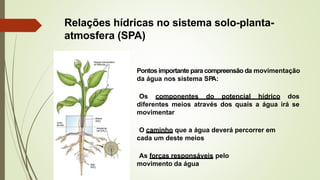 Relações hídricas no sistema solo-planta-
atmosfera (SPA)
Pontos importante para compreensão da movimentação
da água nos sistema SP
A:
•Os componentes do potencial hídrico dos
diferentes meios através dos quais a água irá se
movimentar
•O caminho que a água deverá percorrer em
cada um deste meios
•As forças responsáveis pelo
movimento da água
 