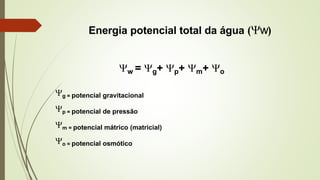 Energia potencial total da água (w)
w = g+ p+ m+ o
g = potencial gravitacional
p = potencial de pressão
m = potencial mátrico (matricial)
o = potencial osmótico
 