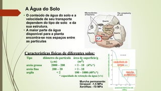 A Água do Solo
• O conteúdo de água do solo e a
velocidade de seu transporte
dependem do tipo de solo e da
sua estrutura.
• A maior parte da água
disponível para a planta
encontra-se nos espaços entre
as partículas
Características físicas de diferentes solos:
Tipo diâmetro da partícula
(m)
área de superfície/g
(m2)
argila < 2 100 – 1000 (40%*)
* capacidade de retenção da água (v/v)
capacidade de
campo
murcha
permanente
condutividade
hidraulica
do
solo
pontencial hídrico do solo
(MPa)
Murcha permanente:
Girassol: -1,5 MPa
Xerófitas: -10 MPa
areia grossa 2000 – 200 < 1 - 10 (4%*)
areia fina 200 – 20 < 1 - 10
 