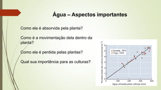 Água – Aspectos importantes
Como ela é absorvida pela planta?
Como é a movimentação dela dentro da
planta?
Como ela é perdida pelas plantas?
Qual sua importância para as culturas?
 