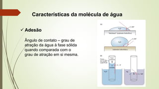 Características da molécula de água
✓ Adesão
Ângulo de contato – grau de
atração da água à fase sólida
quando comparada com o
grau de atração em si mesma.
 