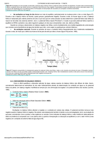 12/02/13 O STRESSE DA SECA NAS PLANTAS - 1ª PARTE
www.angelfire.com/ar3/alexcosta0/RelHid/Rhw11.htm 3/4
Figura 46: Oscilações de curta duração na absorção e perda de água; balanço hídrico e potencial hídrico de folhas de algodoeiro. Durante a fase de transpiração
rápida o conteúdo hídrico das folhas diminui e o potencial hídrico torna-se mais negativo. A quantidade de água que passa pelo pecíolo (absorção) segue uma
curva de 180º desfasada com a do potencial hídrico. As flutuações na transpiração são causadas por oscilações na abertura estomática.
Retirado de Larcher (1995), fig. 4.26, pag.247
¨ As oscilações ao longo do dia afastam-se mais do equilíbrio, particularmente na mudança entre o dia e a noite (figura 47).
Durante o dia o balanço hídrico vai ficando, quase sempre, gradualmente negativo. Durante a noite, se houver água no solo, o balanço
hídrico é restaurado para valores próximos de zero. É por isso que em certos estudos se deve determinar o potencial hídrico das folhas ao
nascer do Sol antes dos estomas abrirem, isto é, o potencial hídrico basal (“Pre-Dawn”). A razão é que este potencial hídrico exprime o
equilíbrio no SPAC e portanto o seu valor é igual em qualquer um dos seus componentes: solo, raiz, xilema ou folhas.
Quando se começa a desenvolver um balanço negativo nas folhas, ocorre imediatamente uma medida regulatória de curta duração
que consiste numa transferência de água dos tecidos que a têm, como sejam os parênquimas cortical e floémico.
¨ As oscilações sazonais. Durante os períodos de seca o conteúdo hídrico frequentemente não é totalmente restabelecido
durante a noite, de modo que o deficit acumula-se de dia para dia até que volte a chover (figura 47)(Larcher, 1995).
Figura 47: Diagrama esquemático do abaixamento gradual do potencial hídrico das folhas, raízes e solo durante uma semana de seca. A flutuações maiores
ocorrem nas folhas uma vez que estão sujeitas à transpiração durante o dia. O balanço hídrico não é restabelecido durante a noite (zona a escuro nas abcissas)
de modo que o potencial hídrico basal é gradualmente mais negativo de dia para dia.
Retirado de Larcher (1995), fig.4.27, pag. 247
4.2.3. INDICADORES DO BALANÇO HÍDRICO:
Como é dificil quantificar a absorção radicular da água, valores exactos do balanço hídrico são difíceis de obter. Assim,
normalmente determinam-se estimativas do seu valor indirectamente através da determinação do conteúdo em água ou do potencial
hídrico da planta. Um balanço negativo manifesta-se sempre por uma diminuição da turgidez e do potencial hídrico dos tecidos (Larcher,
1995).
¨ Conteúdo hídrico relativo (Relative Water Content –RWC):
¨ Deficit de saturação hídrica (Water Saturation Deficit –WSD):
¨ Potencial osmótico (Yp):
Oscilações no balanço hídrico afectam a turgidez e o conteúdo em solutos das células. O potencial osmótico torna-se mais
negativo quando o balanço hídrico é negativo. No entanto, este abaixamento também é devido a uma osmoregulação, isto é, acumulação de
açúcares, aminoácidos como a prolina, e iões orgânicos no vacúolo. Como indicador do balanço hídrico o valor medido em dada planta em
dada circunstância é comparado com o seu óptimo (isto é, quando a transpiração e a absorção se equilibram) e com o valor mínimo (mais
negativo) em condições de extrema falta de água (figura 48).
 