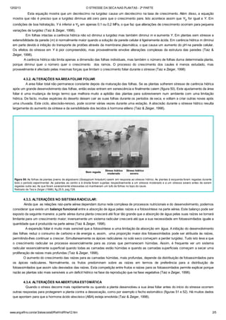 12/02/13 O STRESSE DA SECA NAS PLANTAS - 2ª PARTE
www.angelfire.com/ar3/alexcosta0/RelHid/Rhw12.htm 2/5
Esta equação mostra que um decréscimo na turgidez causa um decréscimo na taxa de crescimento. Além disso, a equação
mostra que não é preciso que a turgidez diminua até zero para que o crescimento pare. Isto acontece assim que Yp for igual a Y. Em
condições de boa hidratação, Y é inferior a Yp em apenas 0,1 ou 0,2 MPa, o que faz que alterações de crescimento ocorram para pequena
variações de turgidez (Taiz & Zeiger, 1998).
Em folhas intactas a carência hídrica não só diminui a turgidez mas também diminui m e aumenta Y. Em plantas sem stresse a
extensibilidade da parede (m) é normalmente maior quando a solução da parede celular é ligeiramente ácida. Em carência hídrica m diminui
em parte devido à inibição do transporte de protões através da membrana plasmática, o que causa um aumento do pH na parede celular.
Os efeitos do stresse em Y é pior compreendido, mas provavelmente envolve alterações complexas da estrutura das paredes (Taiz &
Zeiger, 1998).
A carência hídrica não limita apenas a dimensão das folhas individuais, mas também o número de folhas duma determinada planta,
porque diminui quer o número quer o crescimento dos ramos. O processo do crescimento dos caules é menos estudado, mas
provavelmente é afectado pelas mesmas forças que limitam o crescimento foliar durante o stresse (Taiz e Zeiger, 1998)
4.3.2. ALTERAÇÕES NAÁREAFOLIAR FOLIAR
A area foliar total não permanece constante depois da maturação das folhas. Se as plantas sofrerem stresse de carência hídrica
após um grande desenvolvimento das folhas, então estas entram em senescência e finalmente caiem (figura 50). Este ajustamento da área
foliar é uma mudança de longo termo que melhora muito a aptidão das plantas para sobreviverem num ambiente com uma limitação
hídrica. De facto, muitas espécies do deserto deixam cair as suas folhas durante os períodos de seca, e voltam a criar outras novas após
uma chuvada. Este ciclo, abscisão-renovo, pode ocorrer várias vezes durante uma estação. A abscisão durante o stresse hídrico resulta
largamente do aumento da síntese e da sensibilidade dos tecidos à hormona etileno (Taiz & Zeiger, 1998).
Figura 50: As folhas de plantas jovens de algodoeiro (Gossypium hirsutum) caiem em resposta ao stresse hídrico. As plantas à esquerda foram regadas durante
todo o período experimental. As palantas ao centro e à direita foram sujeitas respectivamente a um stresse moderado e a um stresse severo antes de serem
regadas outra vez. As que foram severamente stressadas só mantiveram um tufo de folhas no topo do caule.
Retirado de Taiz e Zeiger (1998), fig.25.5, pag.728.
4.3.3. ALTERAÇÕES NO SISTEMARADICULAR:
Ainda que as relações raiz-parte aérea dependam duma rede complexa de processos nutricionais e do desenvolvimento, podemos
considerar que existe um balanço funcional entre a absorção de água pelas raízes e a fotossíntese na parte aérea. Este balanço pode ser
exposto da seguinte maneira: a parte aérea duma planta crescerá até ficar tão grande que a absorção de água pelas suas raízes se tornará
limitante para um crescimento maior; inversamente um sistema radicular crescerá até que a sua necessidade em fotoassimilados iguale a
quantidade que é produzida na parte aérea (Taiz & Zeiger, 1998).
A expansão foliar é muito mais sensível que a fotossíntese a uma limitação da absorção em água. A inibição do desenvolvimento
das folhas reduz o consumo de carbono e de energia e, assim, uma proporção maior dos fotoassimilados pode ser atribuida às raízes,
permitindo-lhes continuar a crescer. Simultaneamente os ápices radiculares no solo seco começam a perder turgidez. Tudo isto leva a que
o crescimento radicular se processe essencialmente para as zonas que permanecem húmidas. Assim, é frequente ver um sistema
radicular essencialmente superficial quando todas as camadas estão húmidas e quando as camadas superficiais começam a secar uma
proliferação de raízes mais profundas (Taiz & Zeiger, 1998).
O aumento do crescimento das raízes para as camadas húmidas, mais profundas, depende da distribuição de fotoassimilados para
os ápices radiculares. Normalmente, os frutos predominam sobre as raízes em termos de preferência para a distribuição de
fotoassimilados que assim são desviados das raízes. Esta competição entre frutos e raízes para os fotoassimlados permite explicar porque
razão as plantas são mais sensíveis a um deficit hídrico na fase da reprodução que na fase vegetativa (Taiz e Zeiger, 1998).
4.3.4. ALTERAÇÕES NAABERTURAESTOMÁTICA
Quando o stress decorre mais rapidamente ou quando a planta desenvolveu a sua área foliar antes do início do stresse ocorrem
outras respostas para protegerem a planta contra a dessecação, como por exemplo o fecho estomático (figuras 51 e 52). Há muitos dados
que apontam para que a hormona ácido abscísico (ABA) esteja envolvida (Taiz & Zeiger, 1998).
 