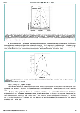12/02/13 O STRESSE DA SECA NAS PLANTAS - 2ª PARTE
www.angelfire.com/ar3/alexcosta0/RelHid/Rhw12.htm 3/5
Figura 51: Diagrama das mudanças na transpiração ao longo do dia à medida que a humidade do solo diminui (curvas 1 a 5). As setas indicam o movimento dos
estomas induzidos pelas mudanças no balanço hídrico. A área a escuro mostra a zona em que a transpiração é exclusivamente cuticular. 1. transpiração sem
restrições; 2. limitação da transpiração durante o meio dia à medida que os estomas fecham; 3. fecho estomático do meio dia; 4. interrupção total da transpiração
estomática devida ao fecho persistente dos estomas (só ocorre transpiração cuticular); 5. transpiração cuticular consideravelmente reduzida devido à contracção
da membrana.
Retirado de Larcher (1995), fig. 4.29, pag. 248
As respostas estomáticas à desidratação foliar variam grandemente dentro duma mesma espécie e entre espécies. Os estomas de
algumas espécies “atrasadoras” de dessecação (“dehydration-postponing”), como o grão de bico (Vigna unguiculata) e mandioca (Manihot
esculenta) são particularmente sensíveis ao decréscimo da disponibolidade em água. A sua condutância estomática e a sua transpiração
diminuiem de tal forma que o seu potancial hídrico permanece pouco alterado durante a seca (Taiz & Zeiger, 1998).
Figura 52: A transpiração diurna de jovens plantas de Pinus radiata; a) com bastante disponibilidade em água; b) depois de 9 dias sem água; c) depois de 12
dias sem água.
Retirado de Larcher (1995), fig. 4.30, pag. 249
4.3.5. ALTERAÇÕES NAFOTOSSÍNTESE:
A taxa de fotossíntese líquida na folha (expressa por unidade de área foliar) é raramente tão sensível a um stresse moderado como
a expansão foliar (figura 53). A razão para isto é que a fotossíntese é muito menos sensível a alterações de turgidez do que a expansão
foliar.
O stresse hídrico geralmente afecta quer a condutância estomática, quer a actividade fotossintética na folha. No início do
estabelecimento da seca, a eficiência fotossintética do uso da água - WUE (Water Use Efficiency - CO2 absorvido na fotossíntese por
vapor de água perdido na transpiração) pode aumentar porque o fecho parcial dos estomas vai afectar mais a transpiração que a absorção
do CO2. No entanto, à medida que o stresse se torna mais severo a WUE vai diminuindo e a inibição do metabolismo da folha vai sendo
mais inibido (Taiz & Zeiger, 1998).
 