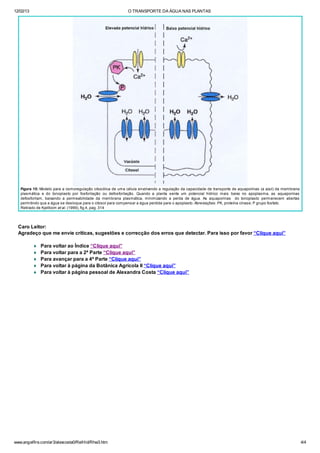 12/02/13 O TRANSPORTE DA ÁGUA NAS PLANTAS
www.angelfire.com/ar3/alexcosta0/RelHid/Rhw3.htm 4/4
Figura 10: Modelo para a osmoregulação citosólica de uma célula envolvendo a regulação da capacidade de transporte de aquaporinas (a azul) da membrana
plasmática e do tonoplasto por fosforilação ou defosforilação. Quando a planta sente um potencial hídrico mais baixo no apoplasma, as aquaporinas
defosforilam, baixando a permeabilidade da membrana plasmática, minimizando a perda de água. As aquaporinas do tonoplasto permanecem abertas
permitindo qua a água se desloque para o citosol para compensar a água perdida para o apoplasto. Abreviações: PK, proteína cinase; P grupo fosfato.
Retirado de Kjellbom et al. (1999), fig.4, pag. 314
Caro Leitor:
Agradeço que me envie críticas, sugestões e correcção dos erros que detectar. Para isso por favor “Clique aqui”
¨ Para voltar ao Índice “Clique aqui”
¨ Para voltar para a 2ª Parte “Clique aqui”
¨ Para avançar para a 4ª Parte “Clique aqui”
¨ Para voltar à página da Botânica Agrícola II “Clique aqui”
¨ Para voltar à página pessoal de Alexandra Costa “Clique aqui”
 