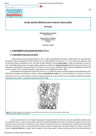 12/02/13 A ABSORÇÃO DA ÁGUA PELAS PLANTAS
www.angelfire.com/ar3/alexcosta0/RelHid/Rhw5.htm 1/7
AS RELAÇÕES HÍDRICAS DAS PLANTAS VASCULARES
(5ª Parte)
Alexandra Rosa da Costa,
PhD (Stirling, U.K.)
Departamento de Biologia
Universidade de Évora
Portugal
Novembro de 2001
2. O MOVIMENTO DA ÁGUA NO SPAC (Cont.):
2.3. O MOVIMENTO DA ÀGUA NO SOLO:
A água proveniente da precipitação penetra no solo e infiltra-se gradualmente até chegar à toalha freática. Em solos altamente
permeáveis a taxa de percolação é de vários metros por ano, em solos argilosos é de cerca de 1 – 2 m e, em solos muito compactos, pode
ser de apenas alguns centímetros por ano. Uma parte da água infiltrada, a chamada água capilar, é retida e armazenada nos poros do
solo. A quantidade de água retida como água capilar e aquela que se infiltra como água gravitacional depende da natureza do solo e das
dimensões e distribuição dos seus poros (figura 15). Poros com menos de 10 mm de diâmetro retêm a água por capilaridade, enquanto que
os poros maiores (> 60 mm de diâmetro) deixam a água infiltrar-se mais rapidamente (Larcher, 1995).
A capacidade de armazenamento da água num solo, isto é, o conteúdo em água em saturação depois da água gravitacional se ter
infiltrado para camadas mais profundas, constitui a chamada capacidade de campo dum solo e é expressa em g de H2O por 100 g de
solo (% peso seco) ou por 100 ml de solo. Os solos de granulado mais fino e os que são mais ricos em substâncias orgânicas armazenam
mais água que os que têm um granulado mais grosso (Larcher, 1995).
Figura 15: O estado da água em solos saturados (a parte esquerda do esquema) e em solos bem arejados (parte direita).
Retirado de Larcher (1995), fig. 4.6, pag. 225
A água que permanece num solo depois da passagem da água gravitacional é retida nos poros por capilaridade; pode ficar presa
aos colóides do solo e, no caso dos solos salinos, pode ficar osmoticamente ligada a iões. Assim, a energia livre da água no solo, tal como
acontece no interior das plantas, é reduzida por certos factores. Na maioria dos solos as contribuições para o potencial hídrico total dadas
pelo potencial osmótico, assim como pelo potencial de pressão, podem ser desprezadas. No potencial hídrico dos solos a componente
crucial é o potencial mátrico ou “capilar” que é a energia com que a água capilar é retida por forças superficiais. Este potencial pode ter
 