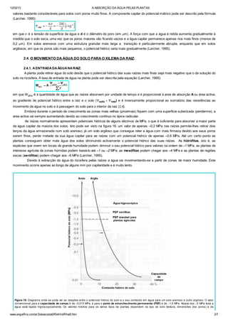 12/02/13 A ABSORÇÃO DA ÁGUA PELAS PLANTAS
www.angelfire.com/ar3/alexcosta0/RelHid/Rhw5.htm 2/7
valores bastante consideráveis para solos com poros muito finos. A componente capilar do potencial mátrico pode ser descrito pela fórmula
(Larcher, 1995):
em que s é a tensão de superfície da água e d é o diâmetro do poro (em mm). A força com que a água é retida aumenta gradualmente à
medida que o solo seca, uma vez que os poros maiores vão ficando vazios e a água capilar permanece apenas nos mais finos (menos de
0,2 mm). Em solos arenosos com uma estrutura granular mais larga a transição é particularmente abrupta, enquanto que em solos
argilosos, em que os poros são mais pequenos, o potencial hídrico varia mais gradualmente (Larcher, 1995).
2.4. O MOVIMENTO DA ÁGUA DO SOLO PARA O XILEMA DA RAIZ:
2.4.1. AENTRADADAÁGUANARAIZ:
A planta pode retirar água do solo desde que o potencial hídrico das suas raízes mais finas seja mais negativo que o da solução do
solo na rizosfera. A taxa de entrada de água na planta pode ser descrita pela equação (Larcher, 1995):
em que Wabs é a quantidade de água que as raízes absorvem por unidade de tempo e é proporcional à area de absorção Aou área activa;
ao gradiente de potencial hídrico entre a raiz e o solo (Ysolo - Yraiz) e é inversamente proporcional ao somatório das resistências ao
movimento da água no solo e à passagem do solo para o interior da raiz (Sr).
Embora durante o período de crescimento as zonas mais velhas (proximais) fiquem com uma superfície suberizada (periderme), a
area activa vai sempre aumentando devido ao crescimento contínuo no ápice radicular.
As raízes normalmente apresentam potenciais hídricos de alguns décimos de MPa, o que é suficiente para absorver a maior parte
da água capilar da maioria dos solos. Isto pode ser visto na figura 16: um valor de apenas –0,2 MPa nas raízes permite-lhes retirar dois
terços da água armazenada num solo arenoso; já um solo argiloso que consegue reter a água com mais firmeza devido aos seus poros
serem finos, perde metade da sua água capilar para as raízes com um potencial hídrico de apenas –0,6 MPa. Até um certo ponto as
plantas conseguem obter mais água dos solos diminuindo activamente o potencial hídrico das suas raízes. As hidrófitas, isto é, as
espécies que vivem em locais de grande humidade podem diminuir o seu potencial hídrico para valores na ordem de –1 MPa; as plantas de
interesse agrícola de zonas húmidas podem baixá-lo até –1 ou –2 MPa; as mesófitas podem chegar aos –4 MPa e as plantas de regiões
secas (xerófitas) podem chegar aos –6 MPa (Larcher, 1995).
Devido à extracção da água do rizosfera pelas raízes a água vai movimentando-se a partir de zonas de maior humidade. Este
movimento ocorre apenas ao longo de alguns mm por capilaridade e é muito lento.
Figura 16: Diagrama onde se pode ver as relações entre o potencial hídrico do solo e o seu conteúdo em água para um solo arenoso e outro argiloso. O valor
convencional para a capacidade de campo é de –0,015 MPa, e para o ponto de emurchecimento permanente (PEP) é de –1,5 MPa. Abaixo dos –5 MPa toda a
água está ligada higroscopicamente. Os valores médios para os vários tipos de plantas dependem do tipo de solo (textura, dimensões dos poros) e da
 