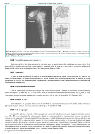 12/02/13 A ABSORÇÃO DA ÁGUA PELAS PLANTAS
www.angelfire.com/ar3/alexcosta0/RelHid/Rhw5.htm 6/7
Figura 20: Os pêlos radiculares e a absorção da água. (A) Pêlos radiculares do rabanete (Raphanus sativus ); (B) Os pêlos radiculares aumentam a absorção da
água pela capacidade de penetrar nos espaços capilares cheios de água entre as partículas de solo; (C) Os pêlos radiculares aumentam várias vezes o volume
do solo a partir no qual uma raiz pode extrair água.
Hopkins (1995), Fig. 3.17, pag. 61
2.4.3.2. Potencial hídrico dos pêlos radiculares:
Se o potencial hídrico dos pêlos radiculares for mais baixo que o da água do solo, então, entrará água para o seu interior. Se o
potencial hídrico dos pêlos aumentar (ficar menos negativo), a água pode deixar de entrar para o seu interior, o crescimento das plantas é
inibido ou pode mesmo parar, as plantas murcham e diminui a produção (Sebanek, 1992).
2.4.3.3. Temperatura:
O efeito de baixas temperaturas na absorção da água pelo sistema radicular das plantas é muito importante. Por exemplo, em
pepino (Cucumber sativus), em tabaco (Nicotiana tabacum), e noutras espécies ocorre uma diminuição acentuada da absorção da água a
temperaturas de 5 a 10 ºC, que pode mesmo parar completamente a temperaturas abaixo dos 4 ºC levando à paragem do crescimento e à
morte da planta (Sebanek,1992).
2.4.3.4. Oxigénio e dióxido de carbono:
A falta de oxigénio pode parar a absorção de água pelo sistema radicular levando à paragem do crescimento. No solo o conteúdo
óptimo em oxigénio é da ordem dos 10 a 12 %. Do mesmo modo um nível demasiado elevado ou demasiado baixo em CO2 inibe, ou pode
mesmo parar, a absorção de água pelas plantas. O conteúdo óptimo em CO2 do solo é de cerca de 5 a 15 % (Sebanek, 1992).
2.4.3.5. Humidade do solo:
A absorção óptima de água pelas plantas ocorre de 60 a 70 % da capacidade máxima do solo. Para prados, plantas hortícolas e
plântulas de espécies lenhosas em viveiros, este valor pode atingir os 80 % (Sebanek, 1992)
2.4.3.6. Perfil da vegetação:
Em condições óptimas, o chamado perfil da vegetação, isto é, a camada radicular da maior parte das plantas cultivadas, situa-se
entre 1.7 a 3.0 m de profundidade. No entanto, existem plantas com sistemas radiculares mais superficiais e outras com sistemas
radiculares mais profundos. Por exemplo, a batata (Solanum tuberosum) e a alfafa (Medicago sativa) apresentam sistemas radiculares que
se estendem a 0.6 e 16.0 m, respectivamente. A grandeza do sistema radicular pode ser definida em função da profundidade pela largura
do sistema radicular. Normalmente, a extensão em largura das raízes é proporcional à sua extensão em profundidade (figura21 A e B). As
raízes podem desenvolver-se extensivamente, quando há poucas raízes para um grande volume de solo: é o caso das espécies em que
são colhidas as raízes; ou de certas árvores como o pinheiro ou a bétula. As raízes também se podem desenvolver intensivamente, quando
o número de raízes por volume de solo é elevado, como é o caso dos cereais (Sebanek, 1992).
 
