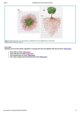 12/02/13 A ABSORÇÃO DA ÁGUA PELAS PLANTAS
www.angelfire.com/ar3/alexcosta0/RelHid/Rhw5.htm 7/7
Figura 21: Sistema radicular de uma macieira (Malus sp. ) (A) Extensão em largura e (B) Extensão em profundidade
Retirado de Peréz (1999), pag. 125 e 126
Caro Leitor:
Agradeço que me envie críticas, sugestões e correcção dos erros que detectar. Para isso por favor “Clique aqui”
¨ Para voltar ao Índice “Clique aqui”
¨ Para voltar para a 4ª Parte “Clique aqui”
¨ Para avançar para a 6ª Parte “Clique aqui”
¨ Para voltar à página pessoal de Alexandra Costa “Clique aqui”
 