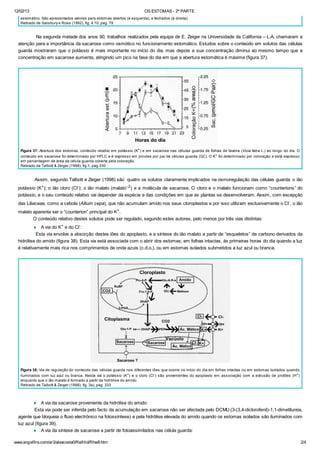 12/02/13 OS ESTOMAS - 2ª PARTE
www.angelfire.com/ar3/alexcosta0/RelHid/Rhw9.htm 2/4
estomático. São apresentados valores para estomas abertos (à esquerda), e fechados (à direita).
Retirado de Salisbury e Ross (1992), fig. 4.10, pag. 79
Na segunda metade dos anos 90, trabalhos realizados pela equipa de E. Zeiger na Universidade da California – L.A. chamaram a
atenção para a importância da sacarose como osmótico no funcionamento estomático. Estudos sobre o conteúdo em solutos das células
guarda mostraram que o potássio é mais importante no início do dia, mas depois a sua concentração diminui ao mesmo tempo que a
concentração em sacarose aumenta, atingindo um pico na fase do dia em que a abertura estomática é máxima (figura 37).
Figura 37: Abertura dos estomas, conteúdo relativo em potássio (K+
) e em sacarose nas células guarda de folhas de faveira (Vicia faba L.) ao longo do dia. O
conteúdo em sacarose foi determinado por HPLC e é expresso em pmoles por par de células guarda (GC). O K+
foi determinado por coloração e está expresso
em percentagem de área da célula guarda coberta pela coloração.
Retirado de Talbott & Zeiger (1998), fig.1, pag.330
Assim, segundo Talbott e Zeiger (1998) são quatro os solutos claramente implicados na osmoregulação das células guarda: o ião
potássio (K+); o ião cloro (Cl-); o ião malato (malato–2) e a molécula de sacarose. O cloro e o malato funcionam como “counterions” do
potássio, e o seu conteúdo relativo vai depender da espécie e das condições em que as plantas se desenvolveram. Assim, com excepção
das Liliaceae, como a cebola (Allium cepa), que não acumulam amido nos seus cloroplastos e por isso utilizam exclusivamente o Cl-
, o ião
malato aparenta ser o “counterion” principal do K+
.
O conteúdo relativo destes solutos pode ser regulado, segundo estes autores, pelo menos por três vias distintas:
¨ A via do K+
e do Cl-
:
Esta via envolve a absorção destes iões do apoplasto, e a síntese do ião malato a partir de “esqueletos” de carbono derivados da
hidrólise do amido (figura 38). Esta via está associada com o abrir dos estomas, em folhas intactas, às primeiras horas do dia quando a luz
é relativamente mais rica nos comprimentos de onda azuis (c.d.o.), ou em estomas isolados submetidos a luz azul ou branca.
Figura 38: Via de regulação do conteúdo das células guarda nos diferentes iões que ocorre no início do dia em folhas intactas ou em estomas isolados quando
iluminados com luz azul ou branca. Nesta via o potássio (K+
) e o cloro (Cl-
) são provenientes do apoplasto em associação com a extrusão de protões (H+
)
enquanto que o ião malato é formado a partir da hidrólise do amido.
Retirado de Talbott & Zeiger (1998), fig. 3a), pag. 333
¨ A via da sacarose proveniente da hidrólise do amido:
Esta via pode ser inferida pelo facto da acumulação em sacarose não ser afectada pelo DCMU (3-(3,4-diclorofenil)-1,1-dimetilureia,
agente que bloqueia o fluxo electrónico na fotossíntese) e pela hidrólise elevada do amido quando os estomas isolados são iluminados com
luz azul (figura 39).
¨ A via da síntese de sacarose a partir de fotoassimilados nas célula guarda:
 