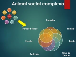 Animal social complexo
Trabalho
Família
Igreja
Time de
Futebol
Profissão
Escola
Partido Político
Pessoa
Família
Trabalho
Igreja
Time de
Futebol
Profissão
Escola
Partido
Político
 