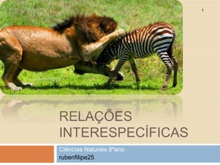 1

RELAÇÕES
INTERESPECÍFICAS
Ciências Naturais 8ºano
rubenfilipe25

 