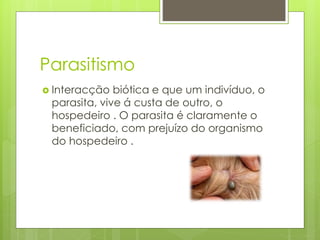 Parasitismo
 Interacção biótica e que um indivíduo, o
parasita, vive á custa de outro, o
hospedeiro . O parasita é claramente o
beneficiado, com prejuízo do organismo
do hospedeiro .
 